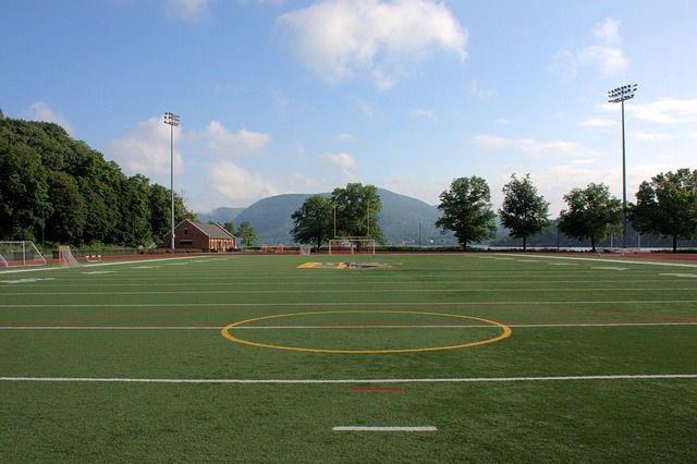 artificial-grass-turf-640x480-5315406.jpeg