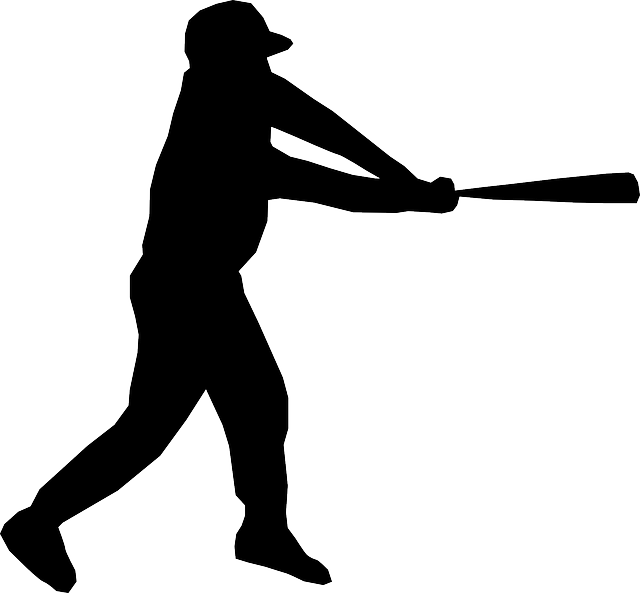 bat-640x480-42805991.png