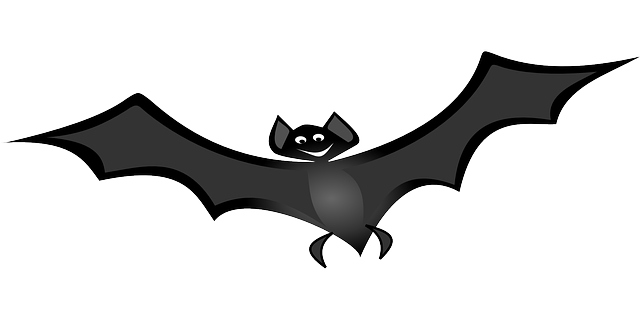 Mastering Bat Exclusion: Expert Tips for Long-term Control Solutions