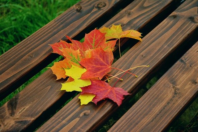 bench-640x480-27442965.jpeg