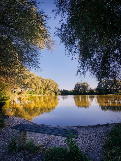 bench-640x480-6081098.jpeg