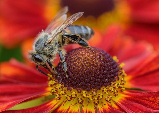 bug-640x480-50549354.jpeg