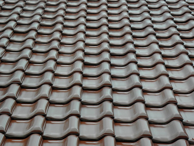 canopy-640x480-39539865.jpeg