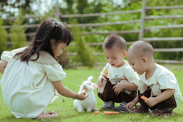 Collaborative Community Efforts: Safeguarding Children through Prevention