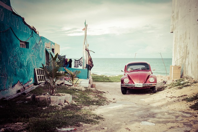 cigarette-beetle-beetle-640x480-30844205.jpeg