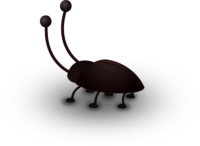 cockroach-640x480-30030485.png