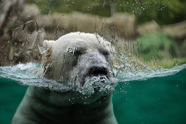 cold-water-therapy-640x480-2310846.jpeg