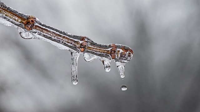 Master Cold Plunges: Boost Immunity with Gradual Exposure Techniques