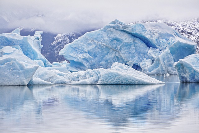 Cold Water Therapy: Unlocking Immunity by Quelling Inflammation
