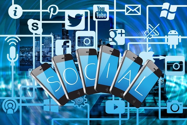 Maximizing Luxury Brand Marketing Through Strategic Influencer Partnerships