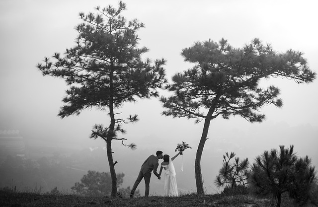 Estate Planning for Couples: Navigating Joint Retirement Accounts