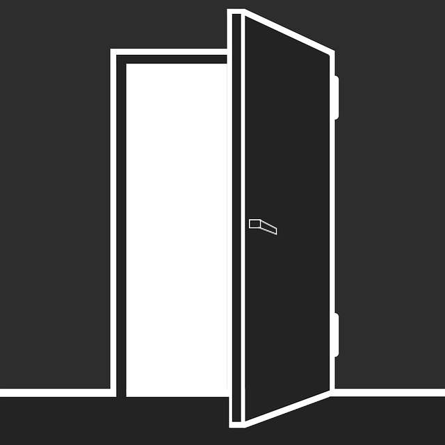 Explore Door Styles: From French to Bi-Fold, Plus Custom Replacement Tips