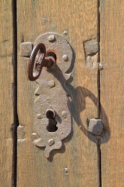 door-door-lock-door-access-640x480-59855482.jpeg