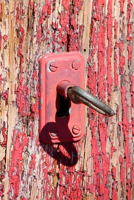 door lock