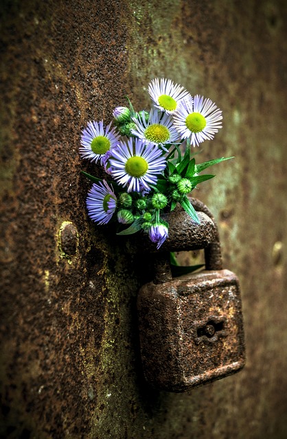 door lock