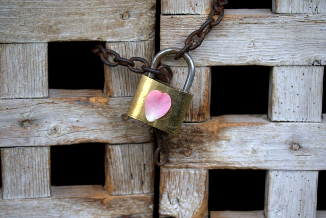 door lock