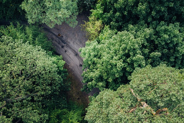 Drone-Based Security: Efficient, Eco-Friendly Protection for Modern Needs