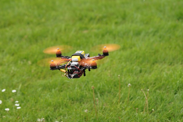 Drone-Enabled Risk Assessments: Securing Large-Scale Events with Aerial Technology