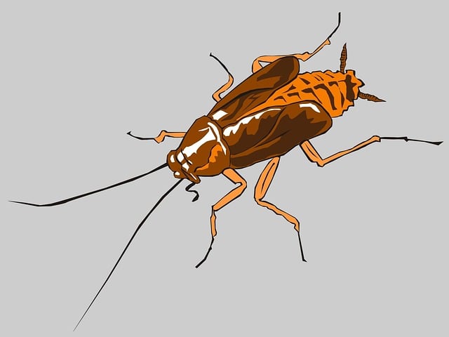 Professional Termite Control: Effective Spot Treatments for Commercial Infestations