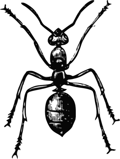 Professional Termite Control: Advanced Spot Treatments for Commercial Infestations