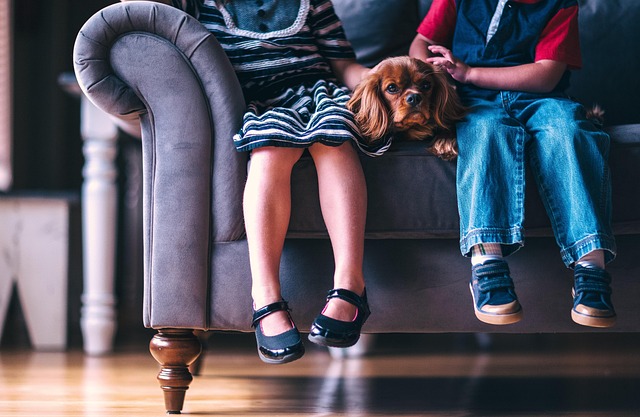 Prioritizing Children’s Best Interests: Navigating Post-Divorce Co-Parenting and Professional Support