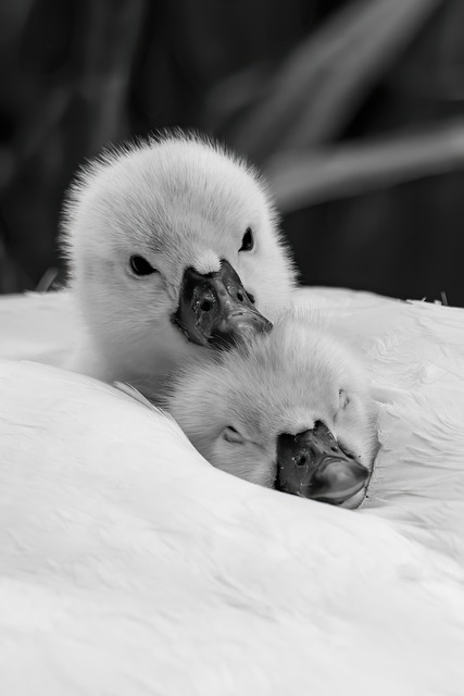 family-640x480-57641229.jpeg
