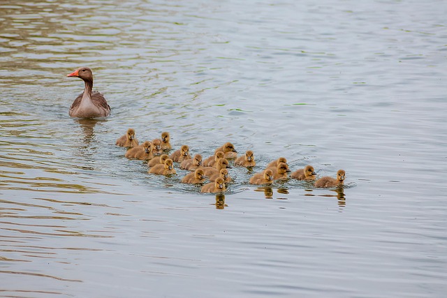 family-640x480-58398913.jpeg