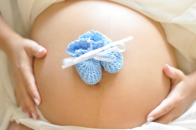 Surrogacy Rights & Responsibilities: A Practical Guide to Adoption Process