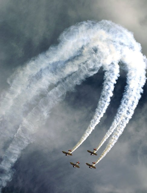 Mastering Fly Control: Effective Perimeter Treatments for Long-Term Relief