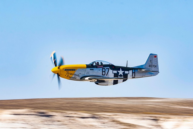 fly-flies-640x480-44245540.jpeg