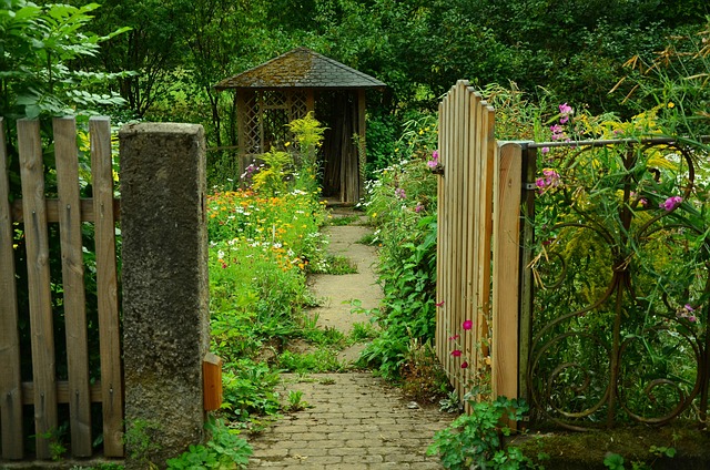 Easy-Care Shrubs & Perennial Flowers: Minimize Pruning, Maximize Beauty