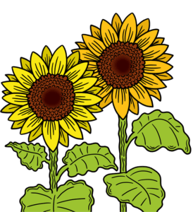 garden-640x480-56426145.png