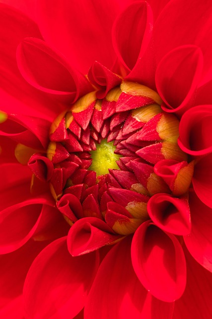 garden-640x480-69092196.jpeg