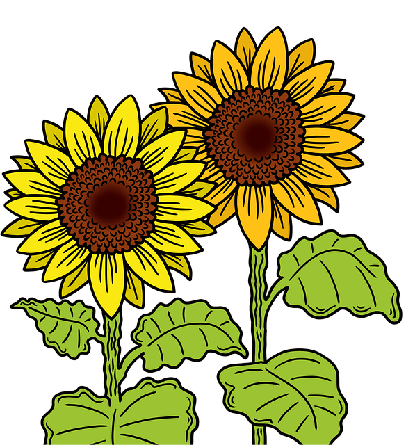 garden-640x480-78401601.png