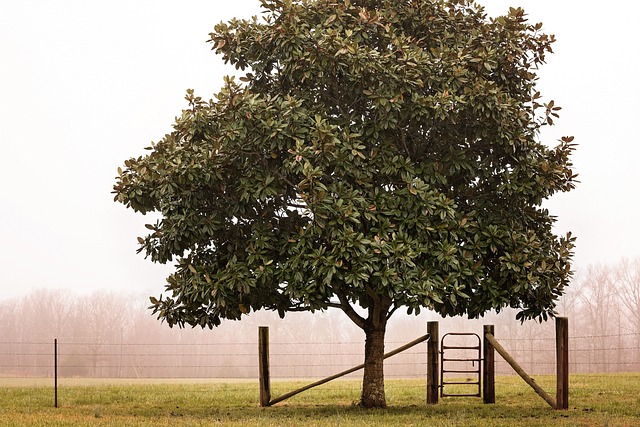 gate-640x480-57216710.jpeg