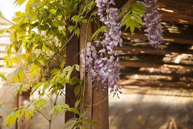 gazebo-640x480-97139058.jpeg