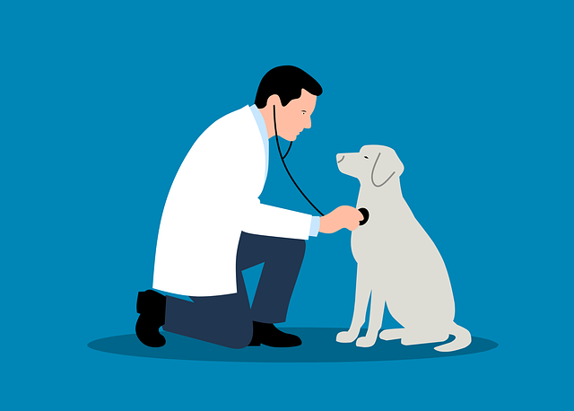 Revolutionizing Chronic Inflammation: Advanced Pain Relief Strategies