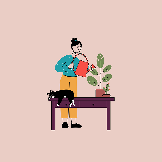 home-improvement-home-house-640x480-54037381.png