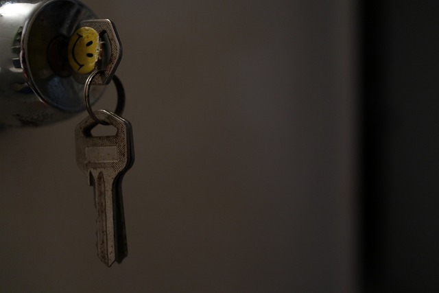 home security
