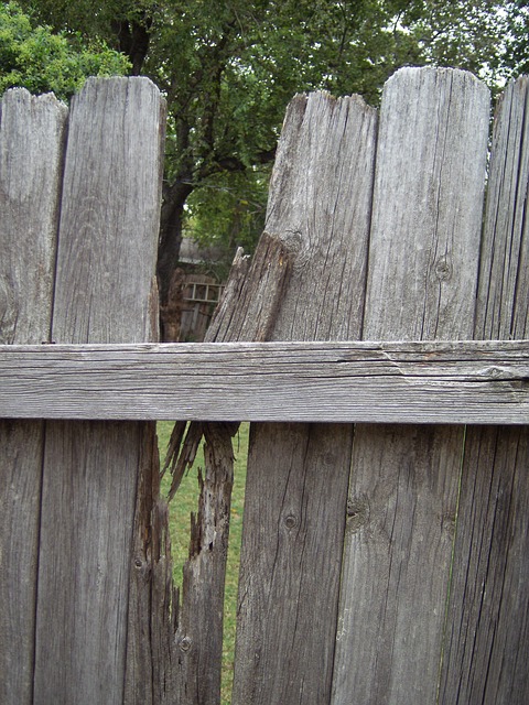 home security