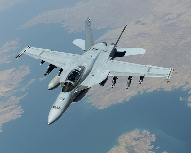 Professional Hornet Control: Targeted Strategies for Nest Deterrence
