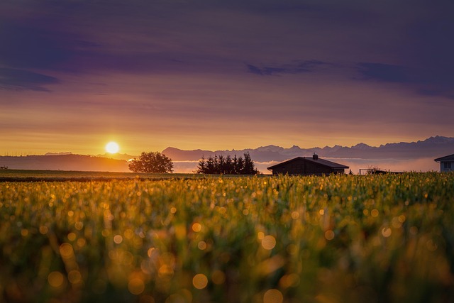 Finding Reliable House Sitters: Benefits and Tips for Homeowners