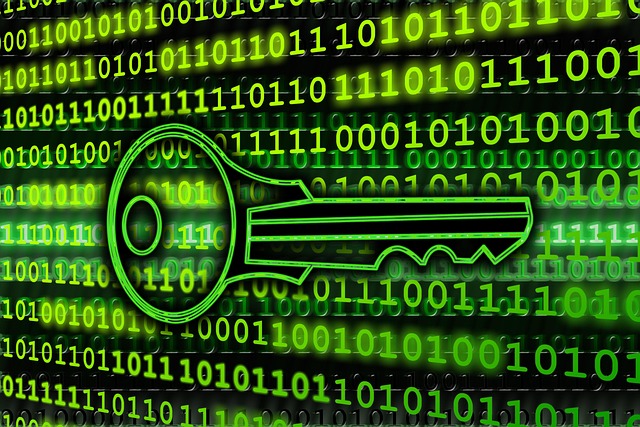 Affordable Family-Friendly Security Systems: Protecting Your Loved Ones Smartly