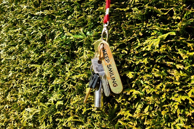 Maximize Safety: DIY Security Systems for Small Apartments