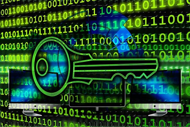 house-door-lock-home-security-home-lock-640x480-59787633.jpeg
