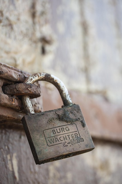 Green Security: Protecting Family Homes with Wireless Solutions