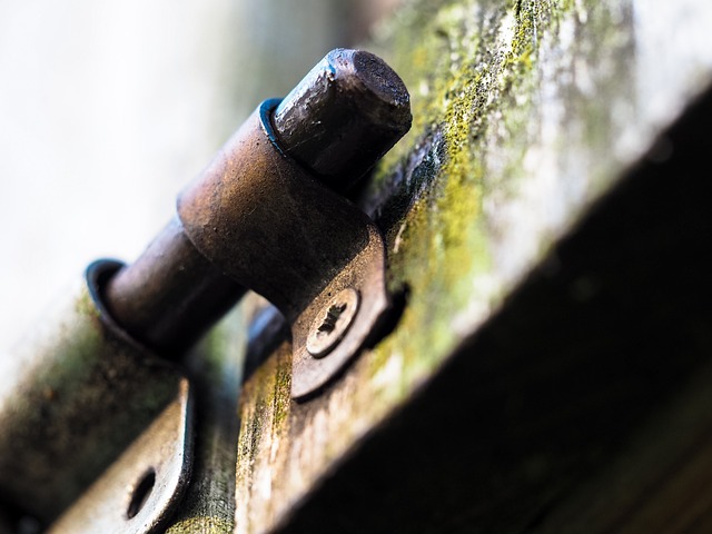 Streamlined Urban Apartment Security Solutions: Discreet Systems for Peace of Mind