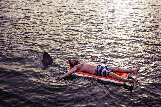 Curved Slip-and-Slide Inflatables: Cool Splashes & Engaging Paths