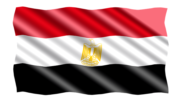 international-protection-services-640x480-63531688.png