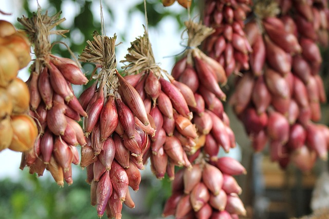Optimize Your Kitchen: Create an Efficient Spice Storage System